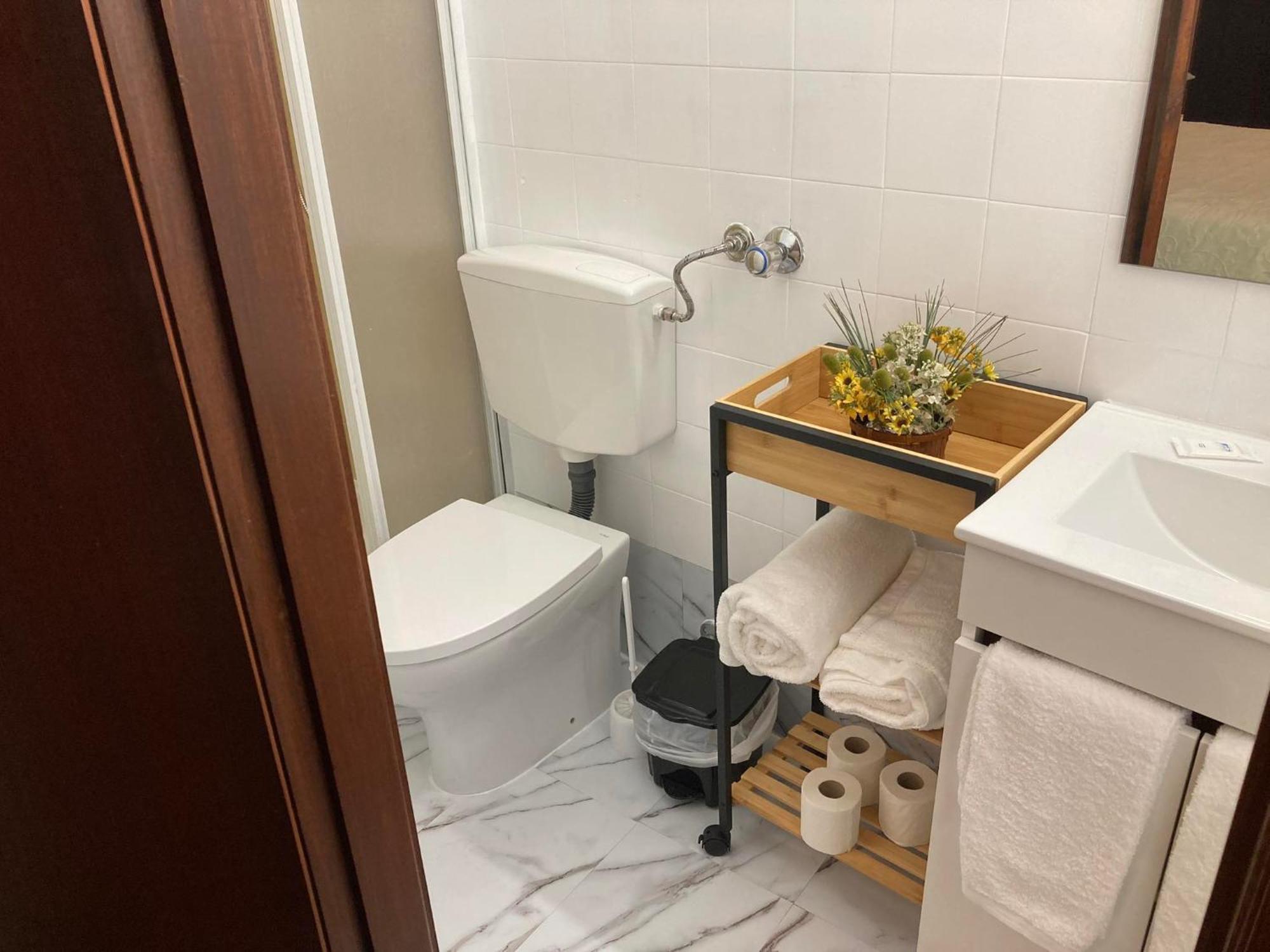 São Pedro do Sul Alojamento Thermal Romano Bed & Breakfast エクステリア 写真